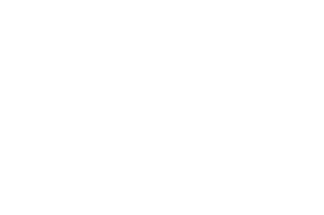 Mandisa Tselane signature